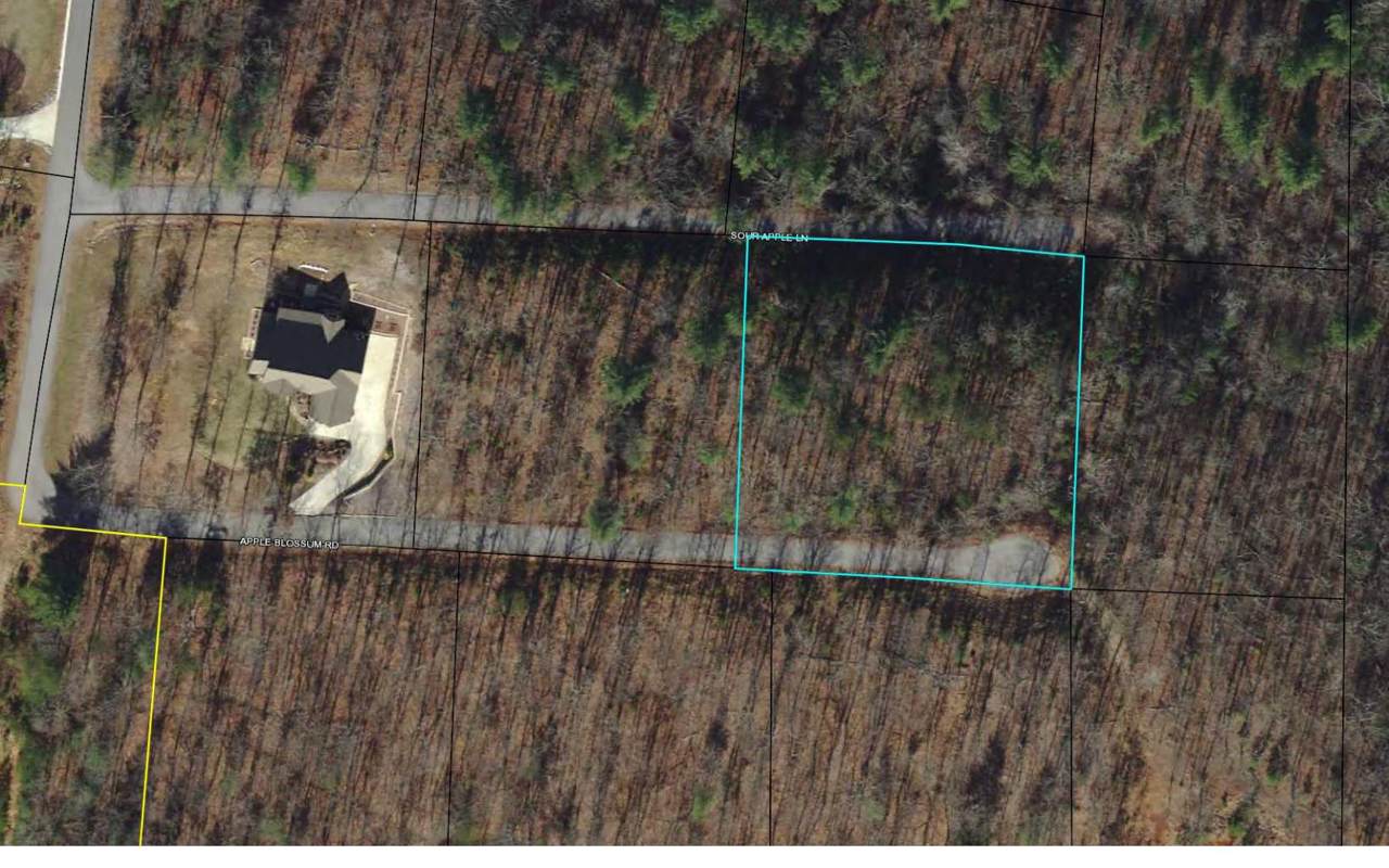 LOT15 Apple Valley - Photo 1