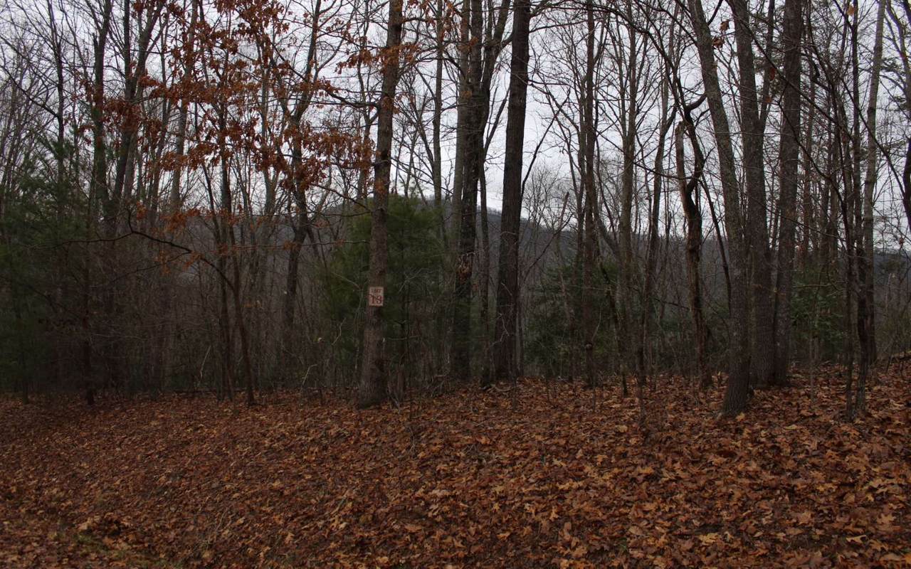13 Moonshine Ridge - Photo 1 13 Moonshine Ridge - Photo 1