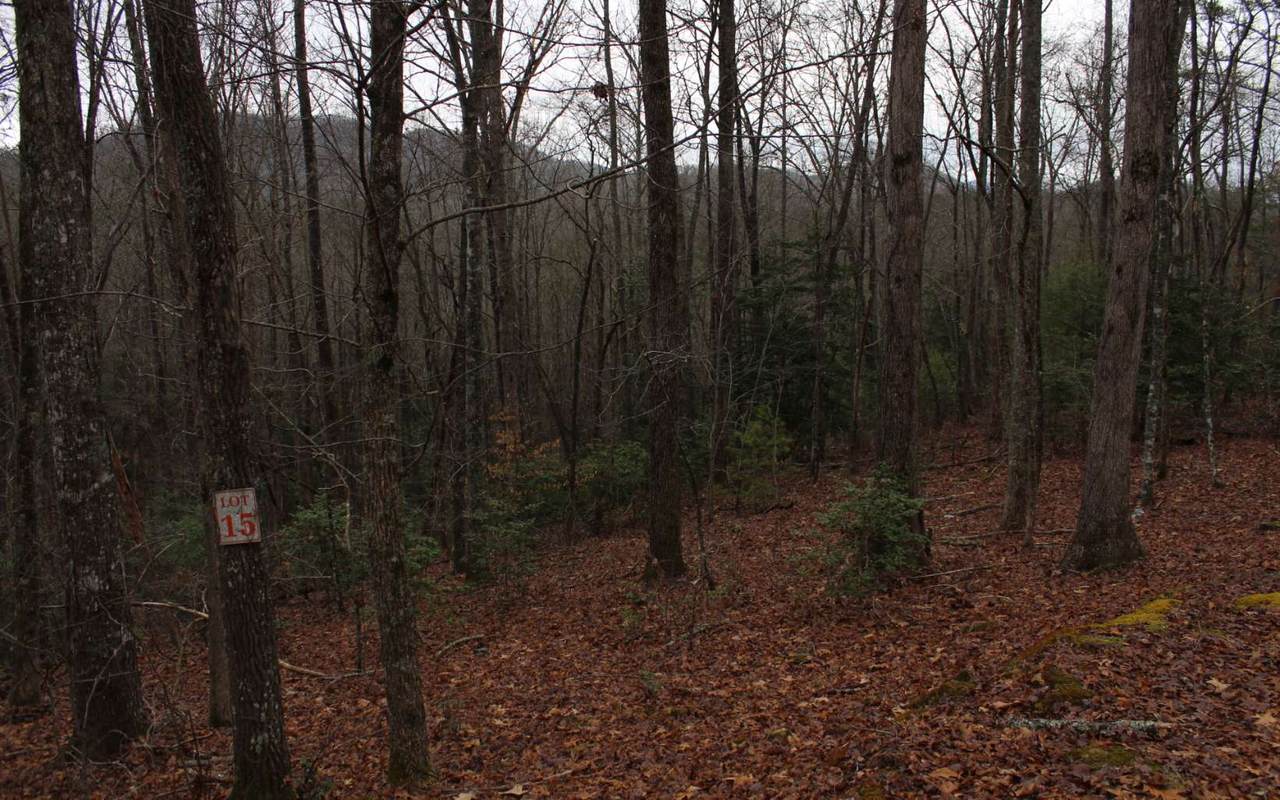 15 Moonshine Ridge - Photo 1 15 Moonshine Ridge - Photo 1