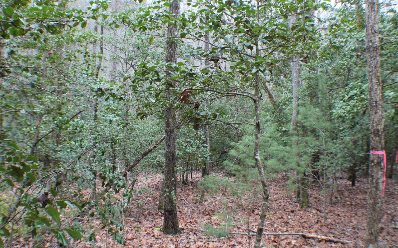 LOT 4 Hefner Road - Photo 1