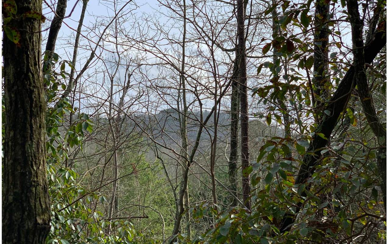 LT 3 Talona Lake Ln - Photo 1 LT 3 Talona Lake Ln - Photo 1