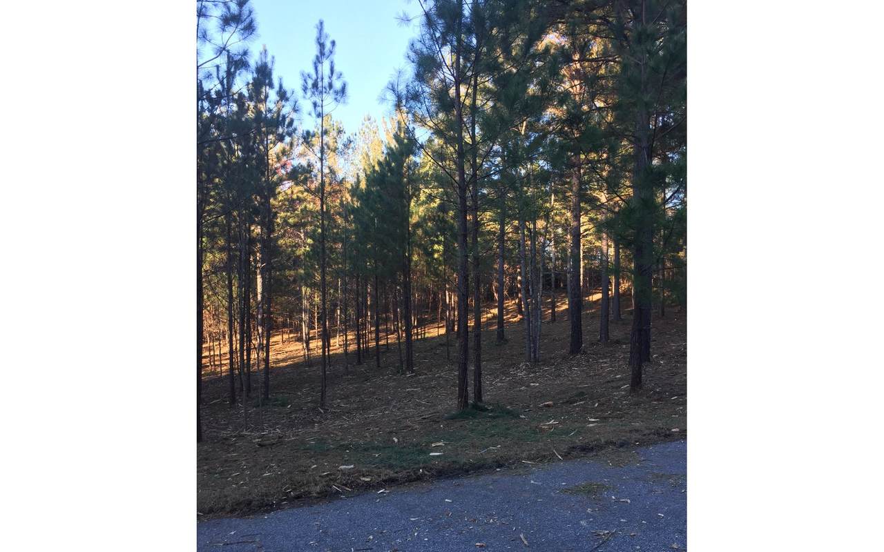 47 Loftis Mountain - Photo 1