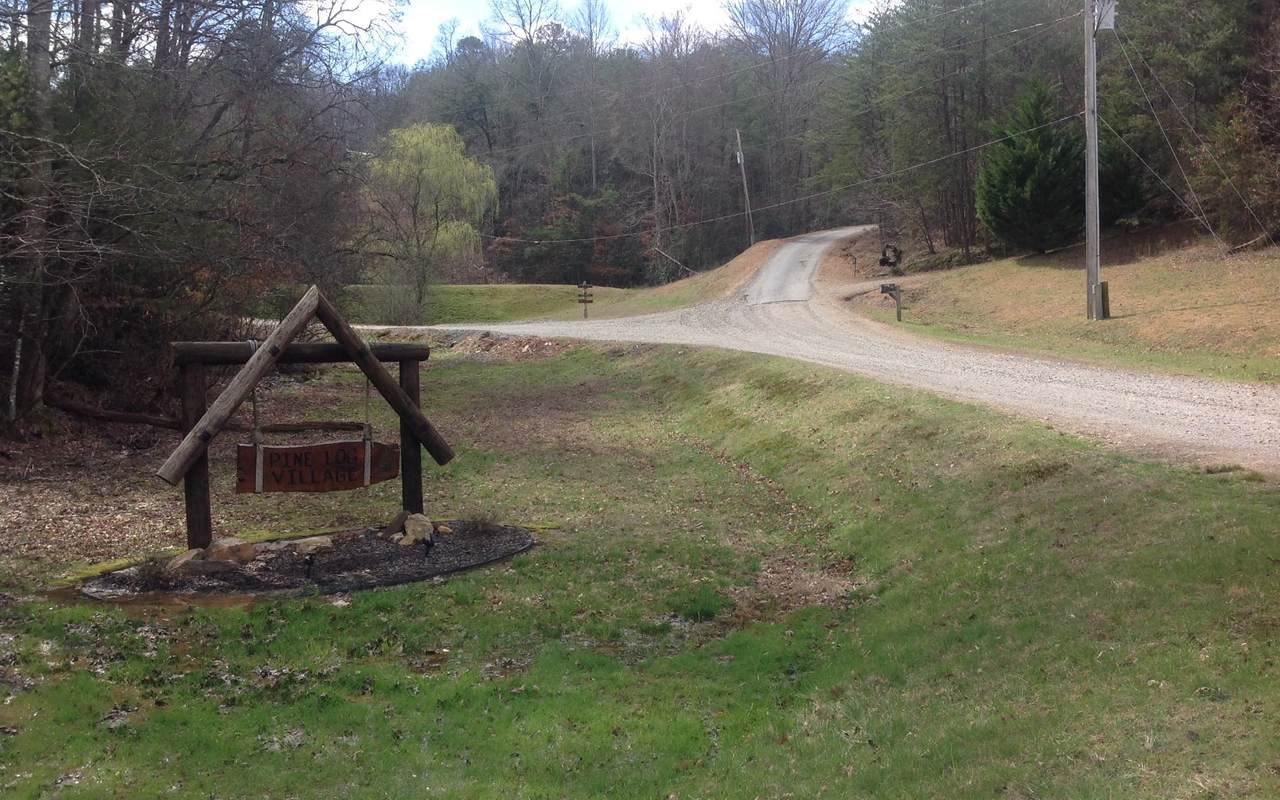 32 Pine Log Lane - Photo 1