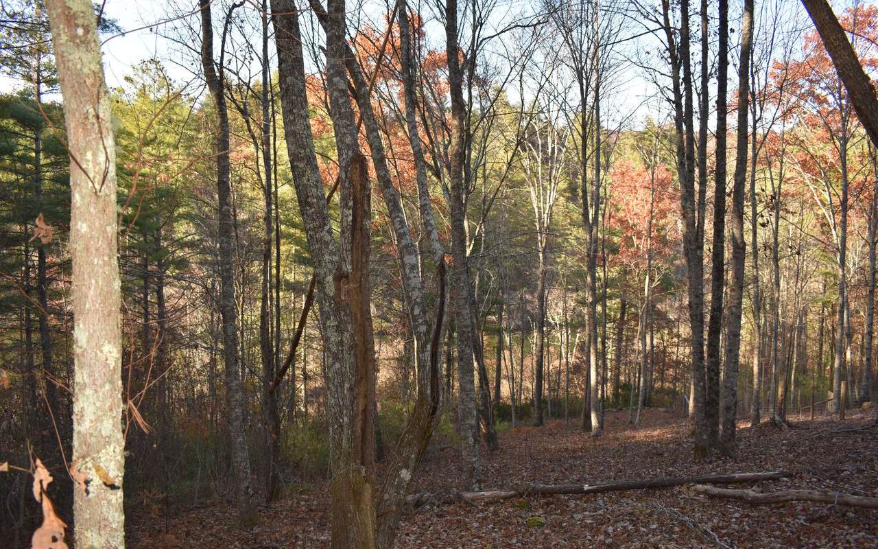 L-46 Trillium Heights - Photo 1 L-46 Trillium Heights - Photo 1