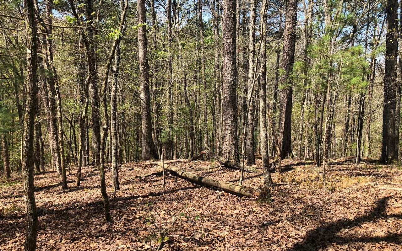 Greely Dr - Photo 1 Greely Dr - Photo 1