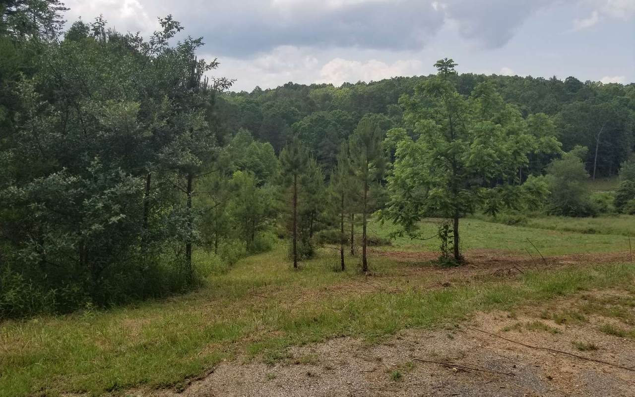 LOT 4 High Meadows - Photo 1