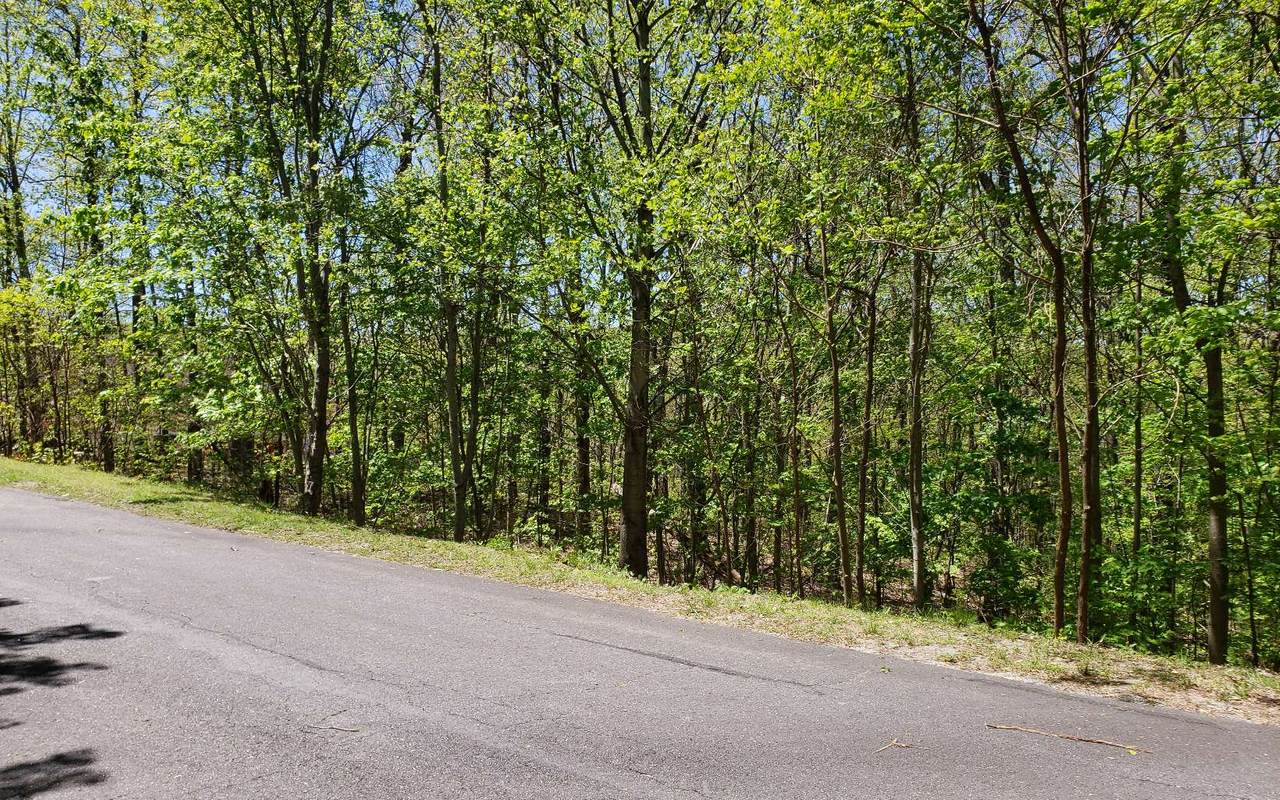 3.44 Lot 107 Cloudland Dr - Photo 1 3.44 Lot 107 Cloudland Dr - Photo 1