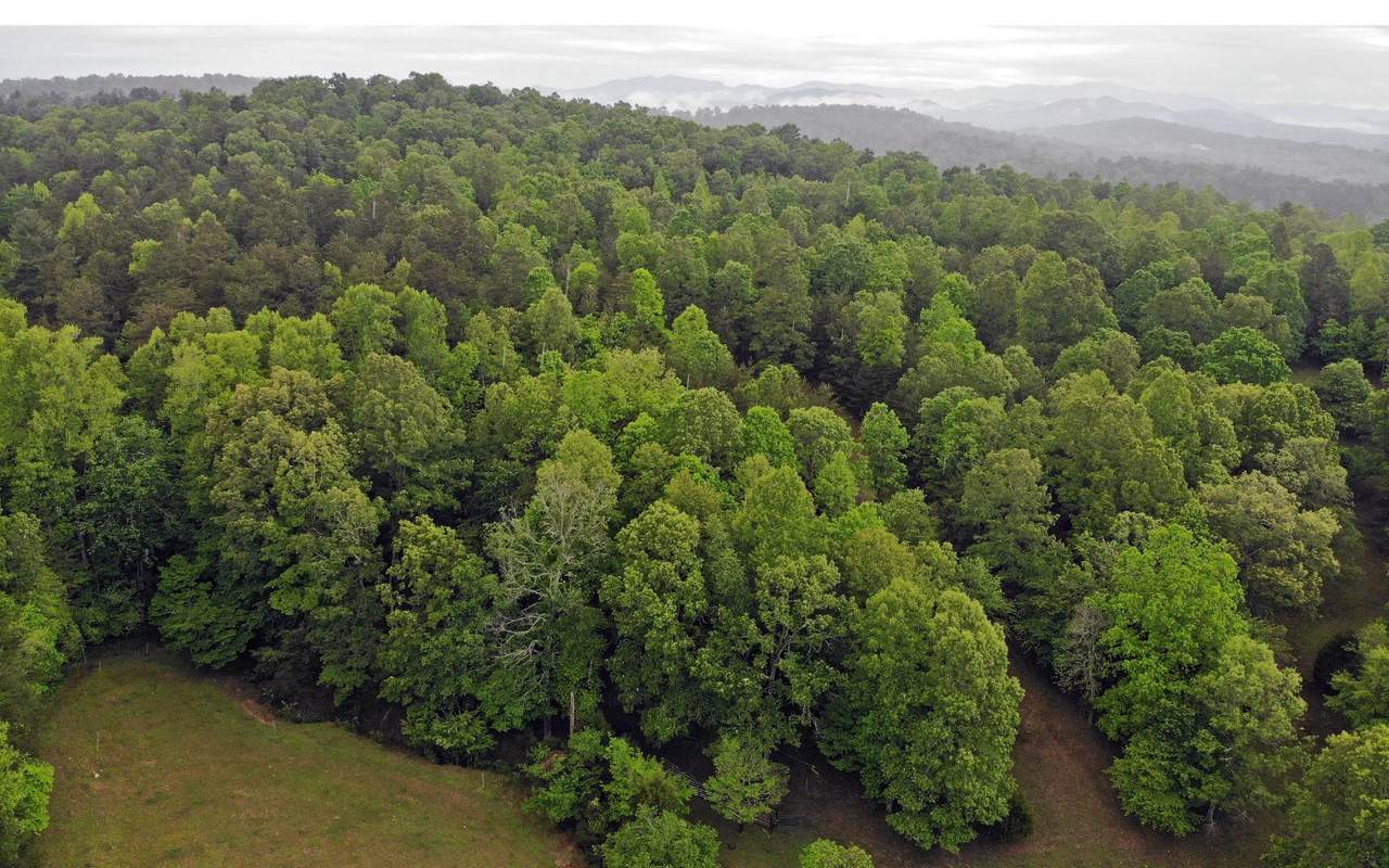239 Double Springs Spur - Photo 1