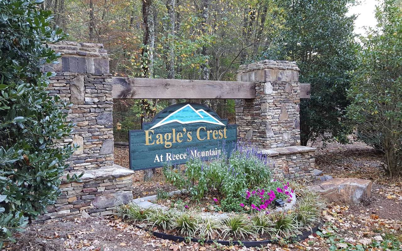 LT 39 Reece Mountain Rd - Photo 1