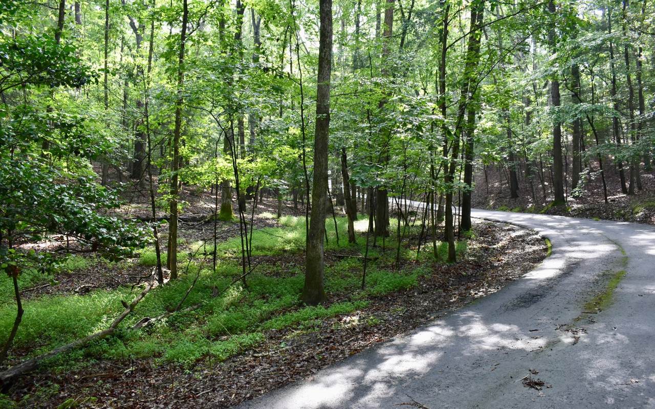 Misty Hollow Road - Photo 1