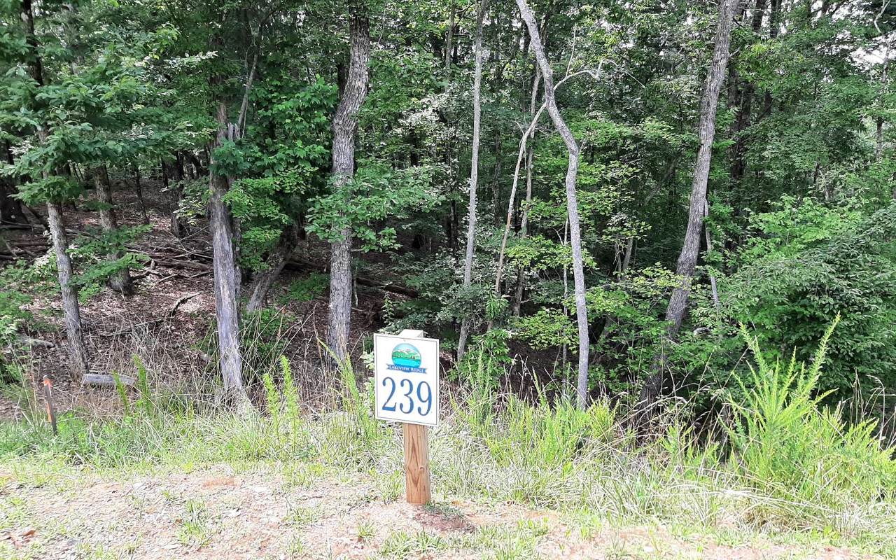 LT239 Carters View Ln - Photo 1