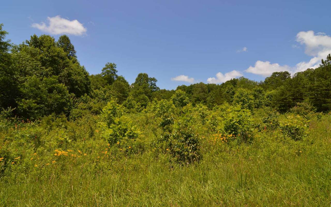 13+AC Matheson Cove Rd - Photo 1