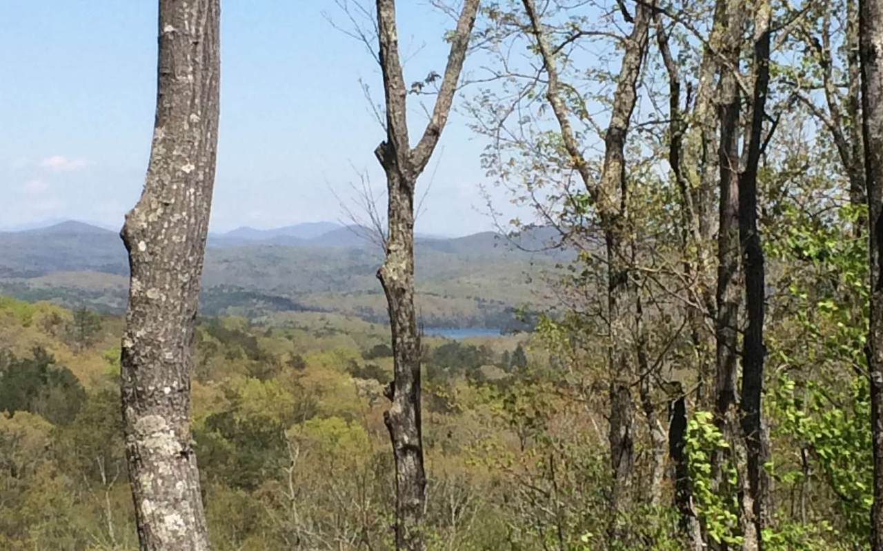 LT 29 Deer Crest Rd. - Photo 1