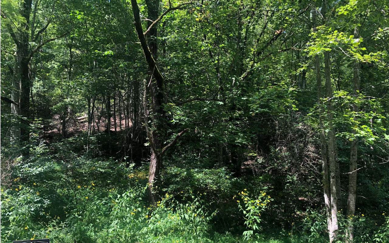 8A River Cove Sub - Photo 1