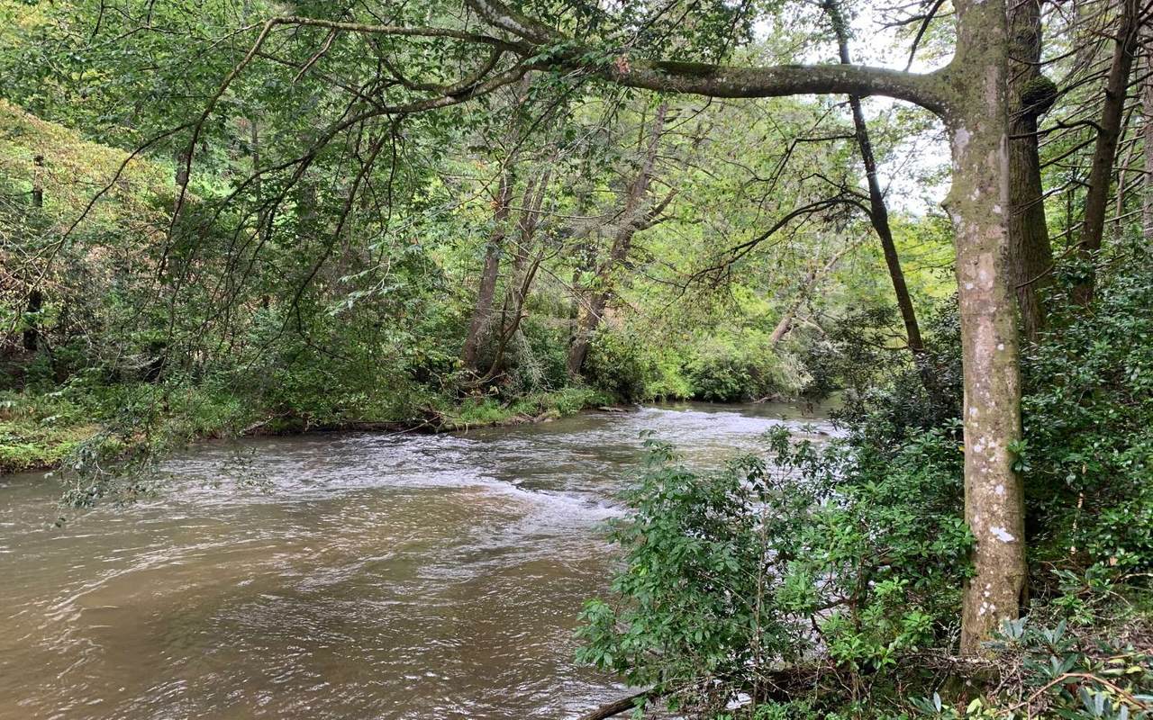 Parker Road - Photo 1