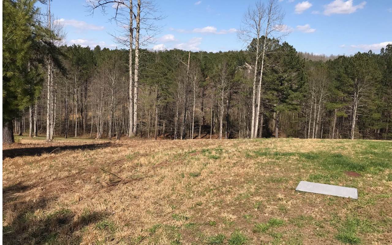 LT 50 Brookhaven (Ivy Mill - Photo 1