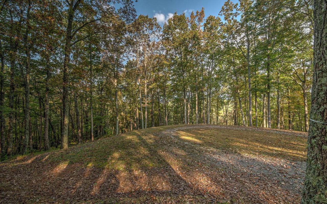 LT20R Settlement Trail - Photo 1