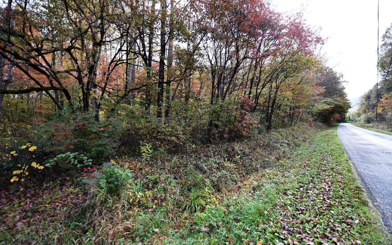 TBD Collett Creek Rd - Photo 1