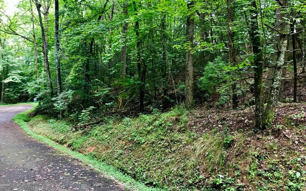 Garnet Dr Lot 2628 - Photo 1