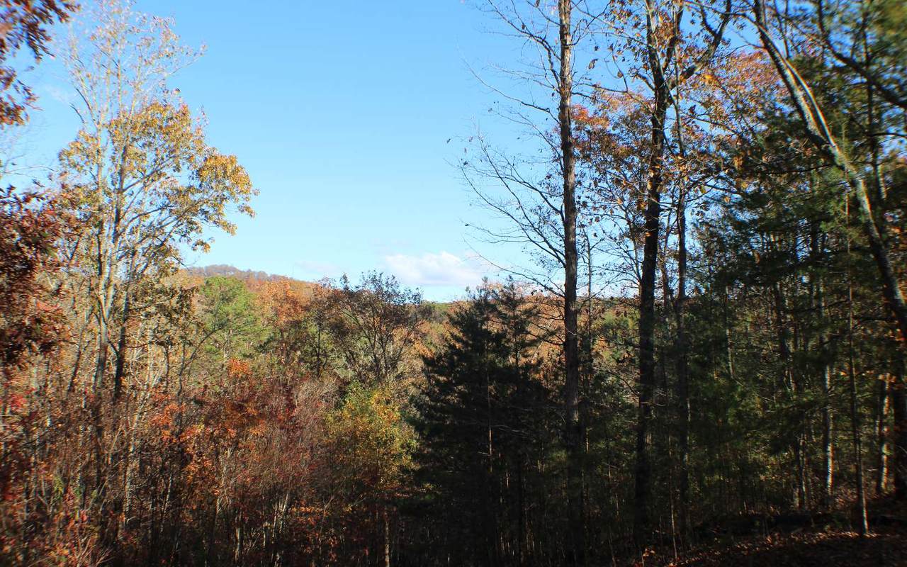 Oakridge Mtn Lt 9 - Photo 1