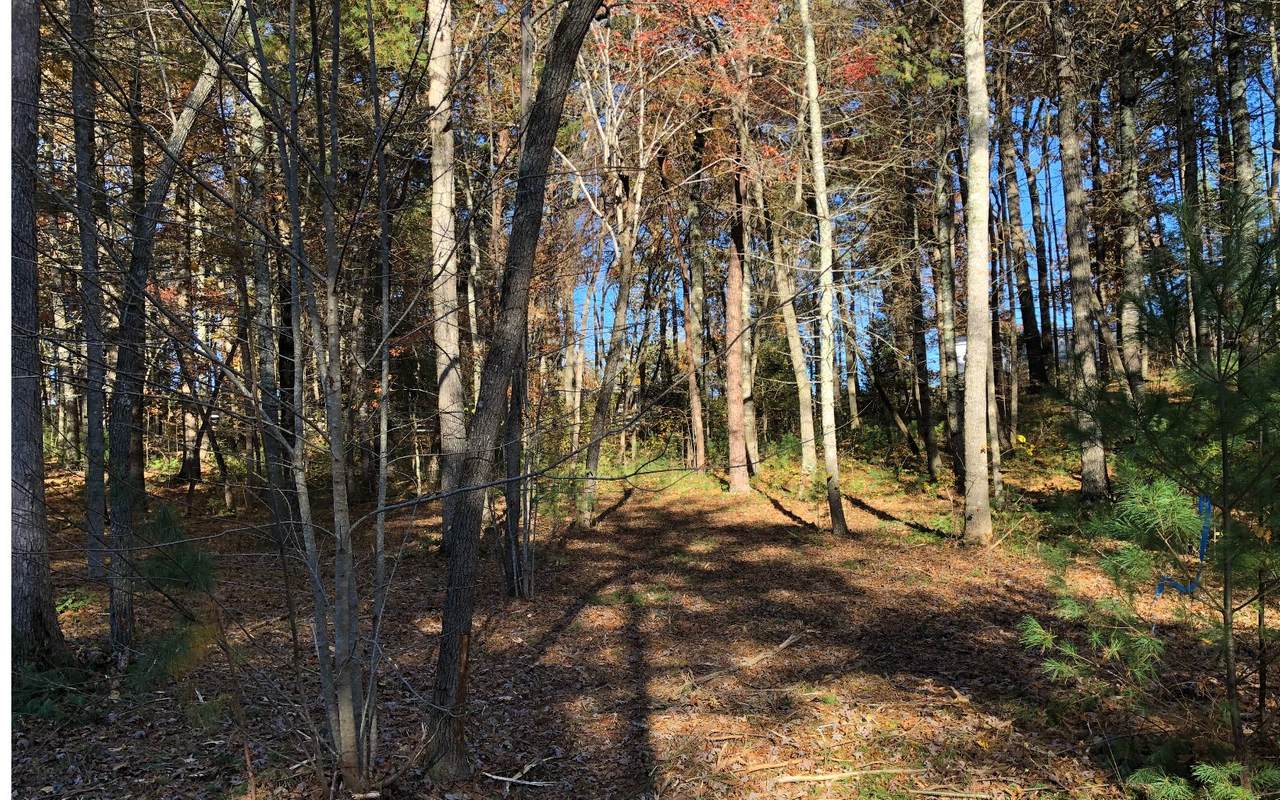 19 Fiddlers Cove - Photo 1