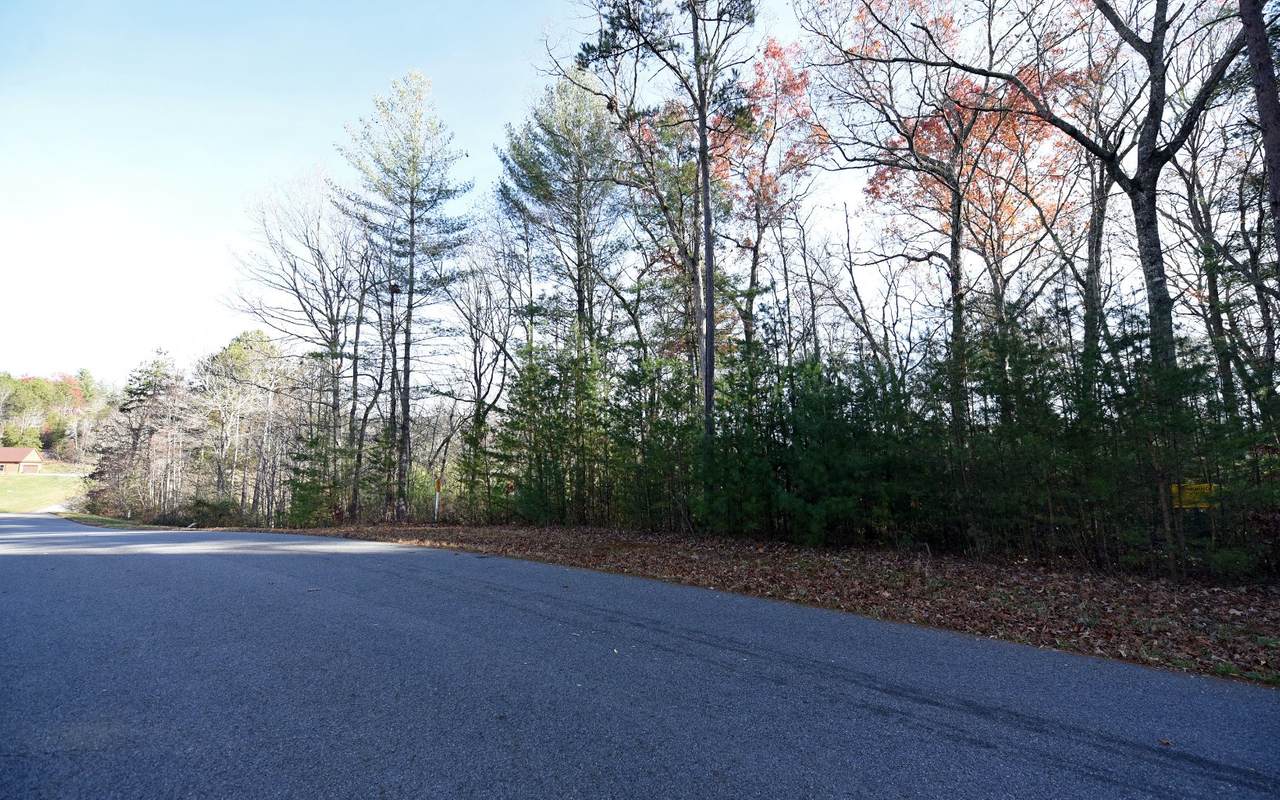LT121 Fox Lake - Photo 1
