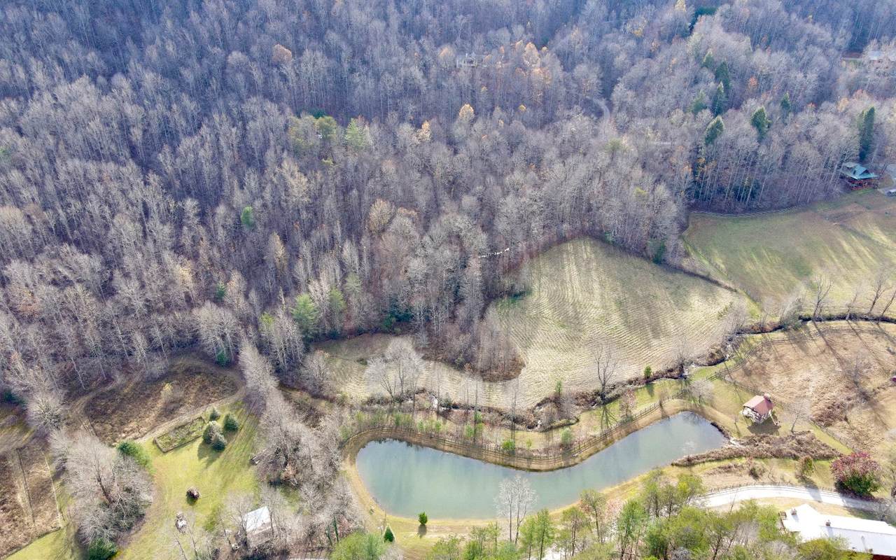 Lt 14 Cohutta Ranch - Photo 1