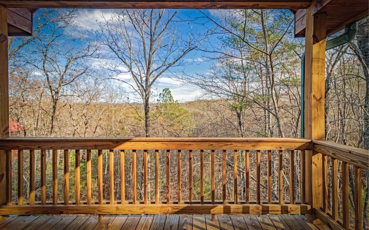 170 Black Gum Lane - Photo 1