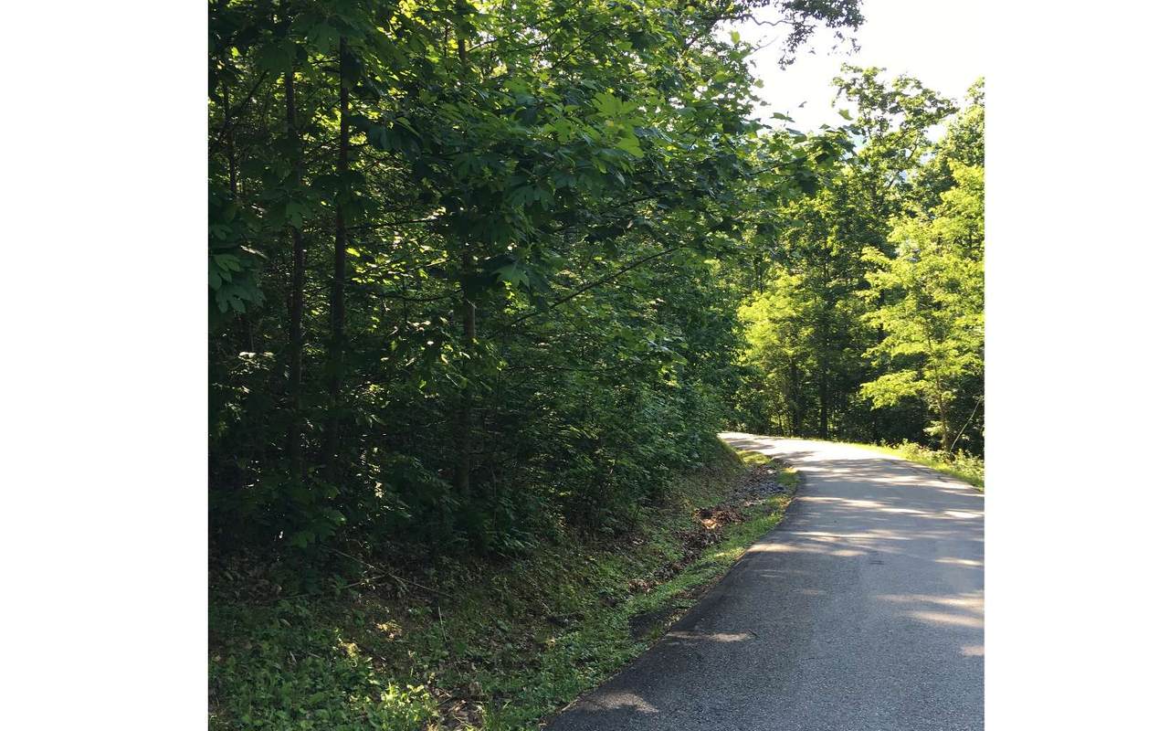 LOT15 Bear Trail - Photo 1