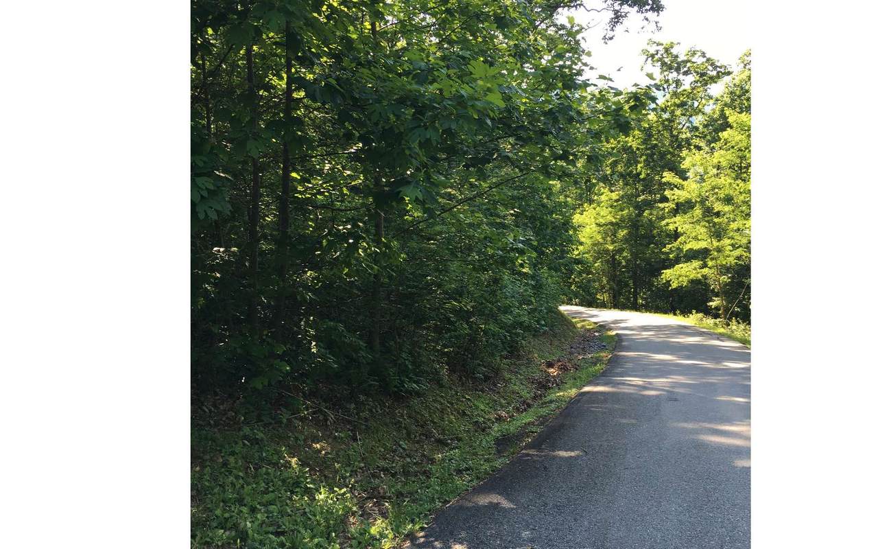 LOT18 Bear Trail - Photo 1