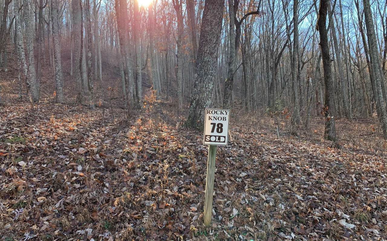 LT 78 Rocky Knob Est - Photo 1