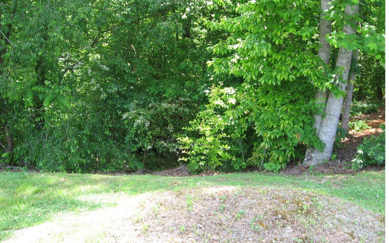 L 91 Blue Ridge Village - Photo 1