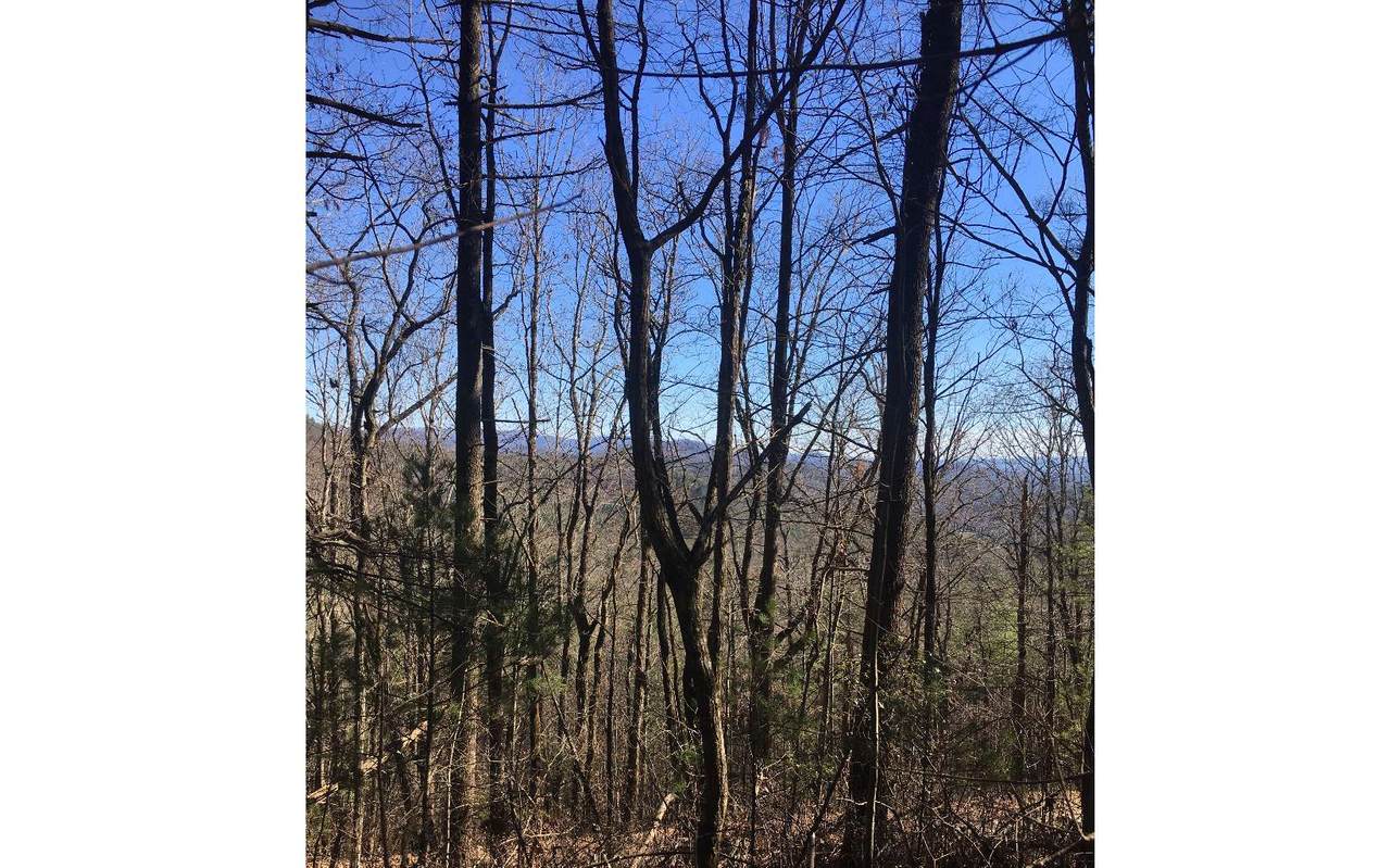 Wilderness Trail - Photo 1