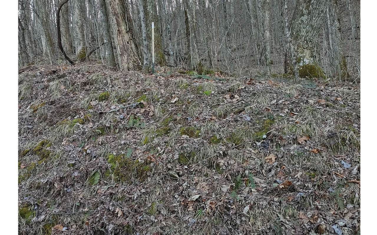 00 Outlook Road - Photo 1