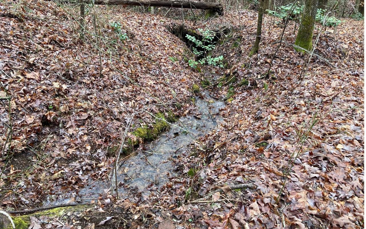 SR 1305 QUALLA RD - Photo 1