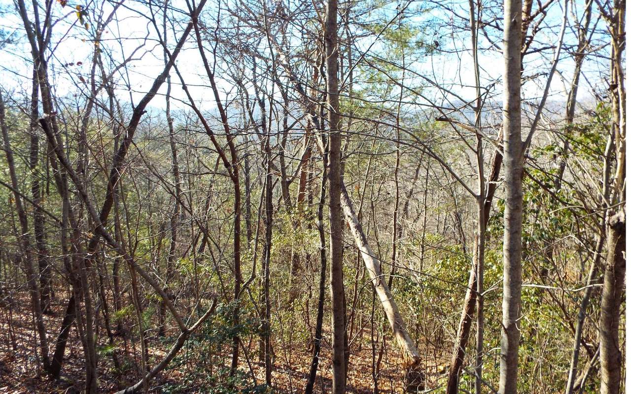 Lot 27 Mission Ridge - Photo 1