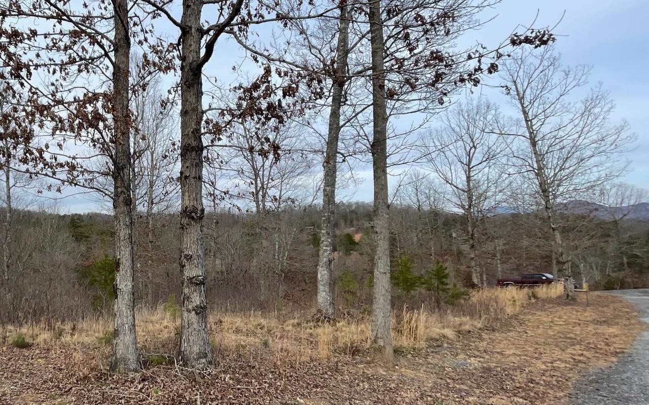 12 Brannon Ridge Res. - Photo 1
