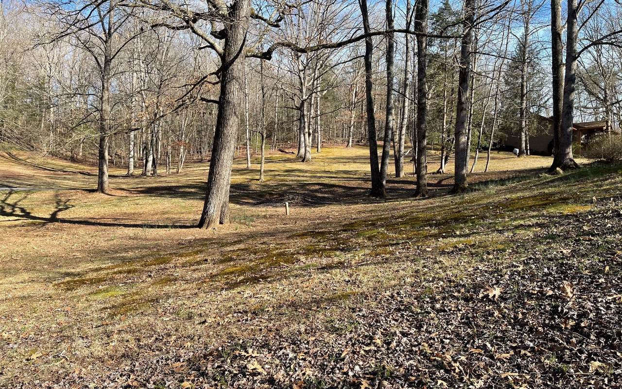 High Poplar Hills Dr - Photo 1