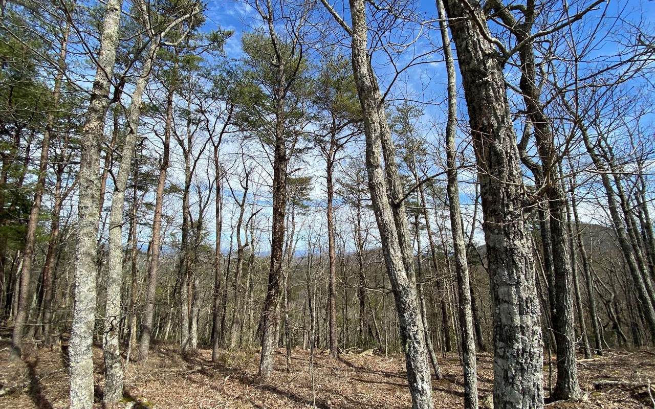 L 153 The Preserve - Photo 1