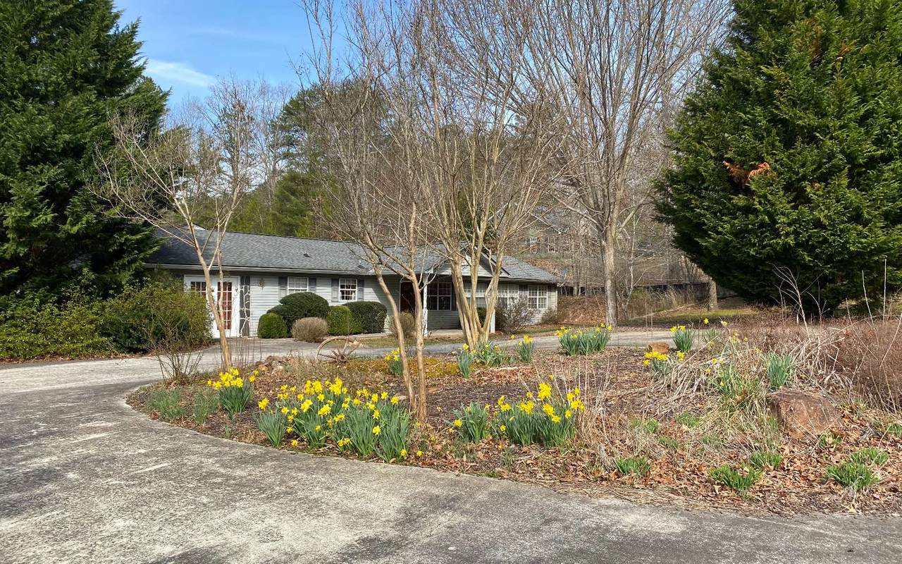 273 High Country Circle - Photo 1