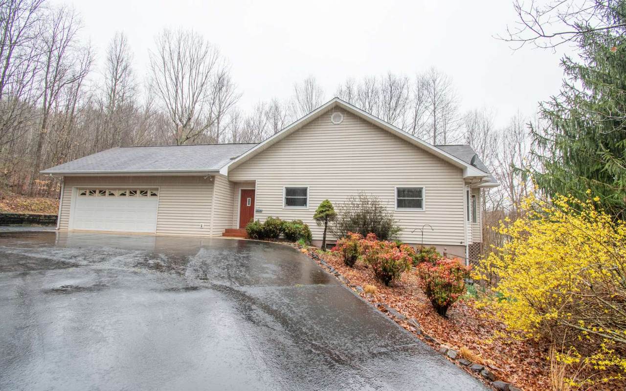 1307 Ramey Mountain - Photo 1