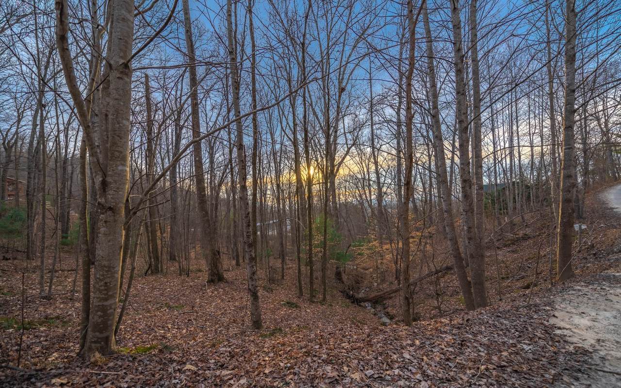 Aj's Holler Lot 175 - Photo 1