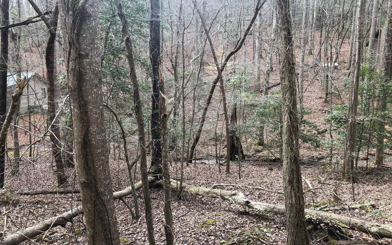LT304 Creekside Trail - Photo 1