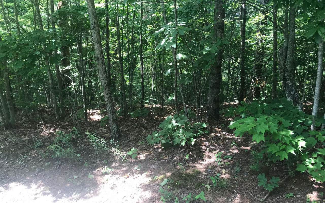 TBD Rose Creek Road - Photo 1