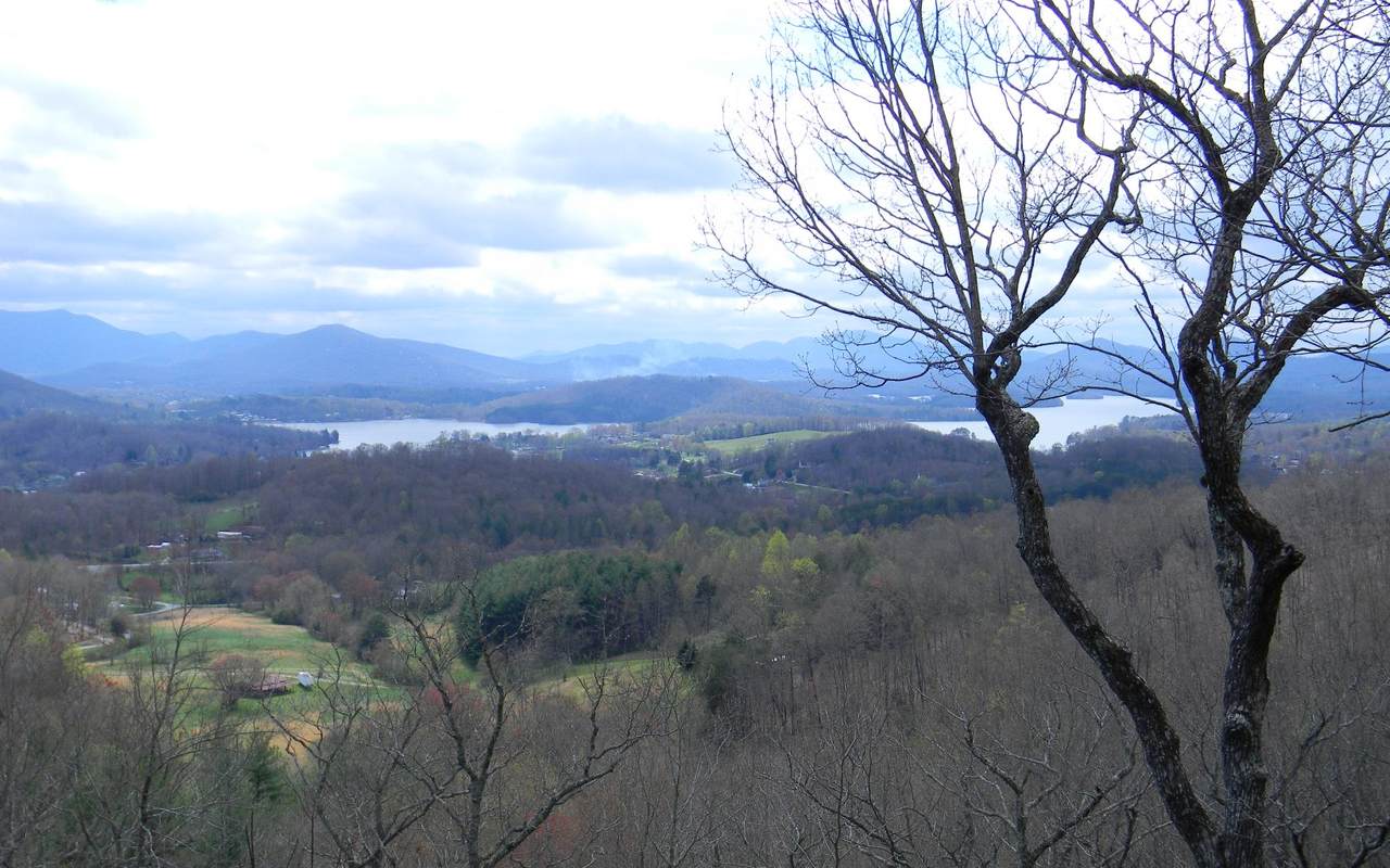 LT 15 Enchanted Ridge - Photo 1
