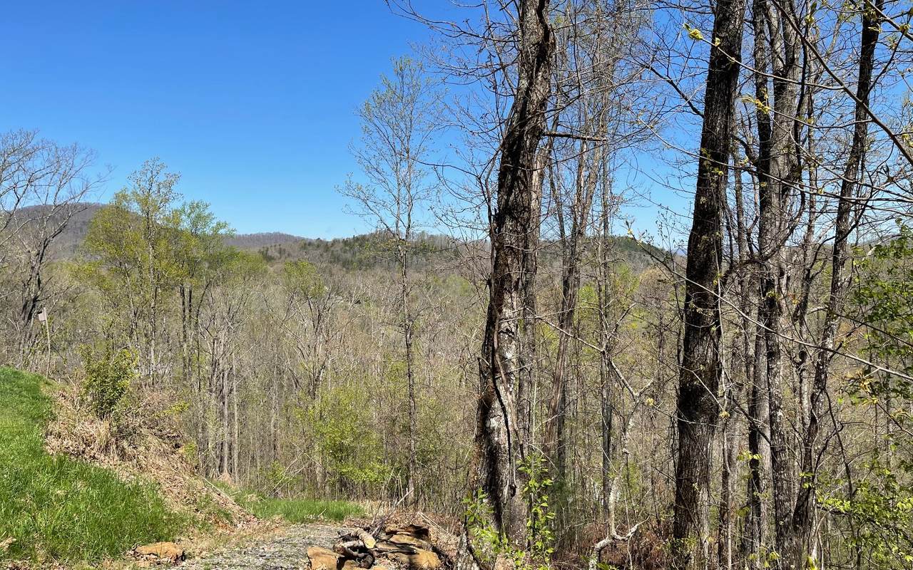 LOT 7 Morgan Creek - Photo 1