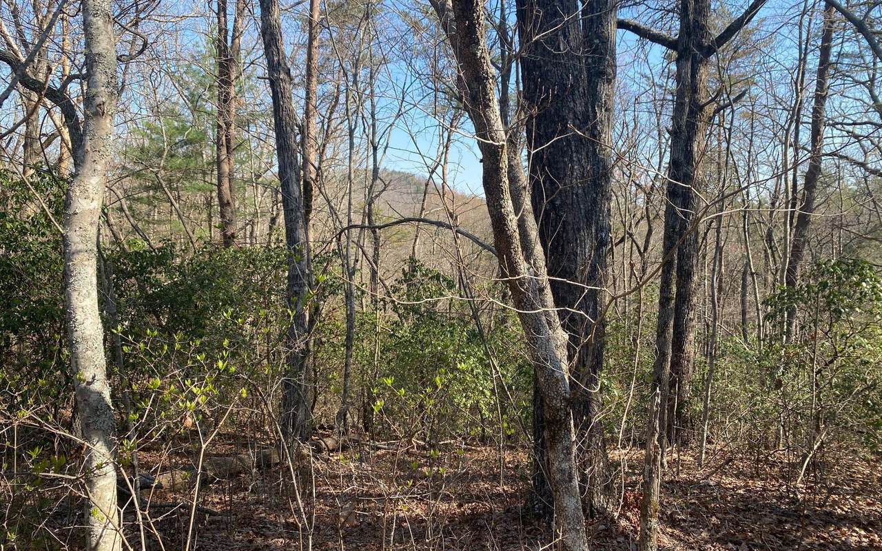 LOT31 Cohutta Overlook Trl - Photo 1