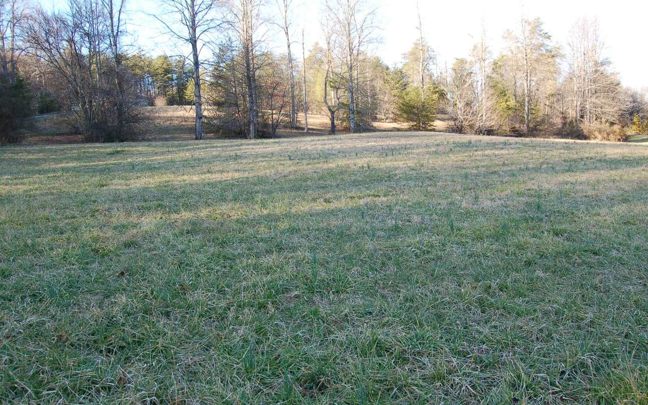 50A Licklog Ridge - Photo 1