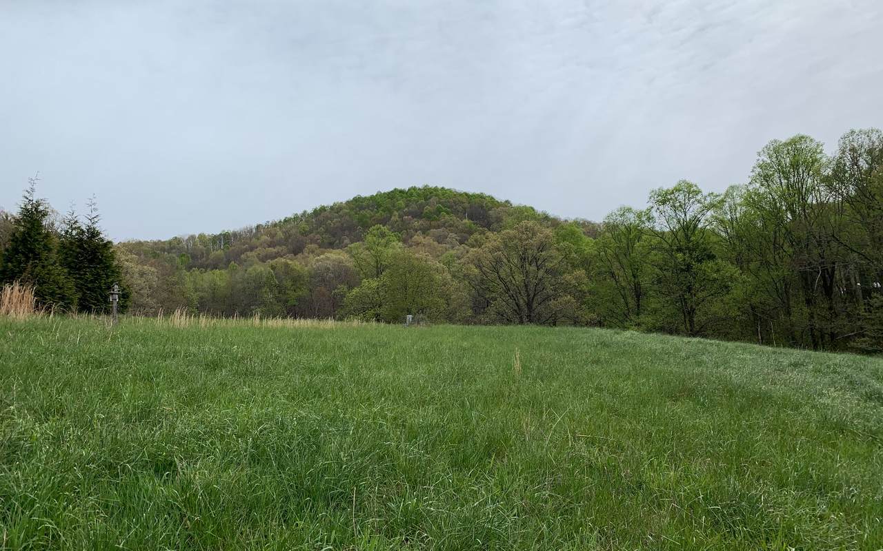 36 The Arbor Lot 36 - Photo 1