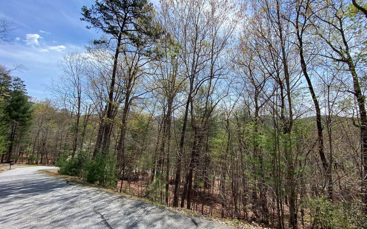 LT 38 Shepherds Ridge - Photo 1